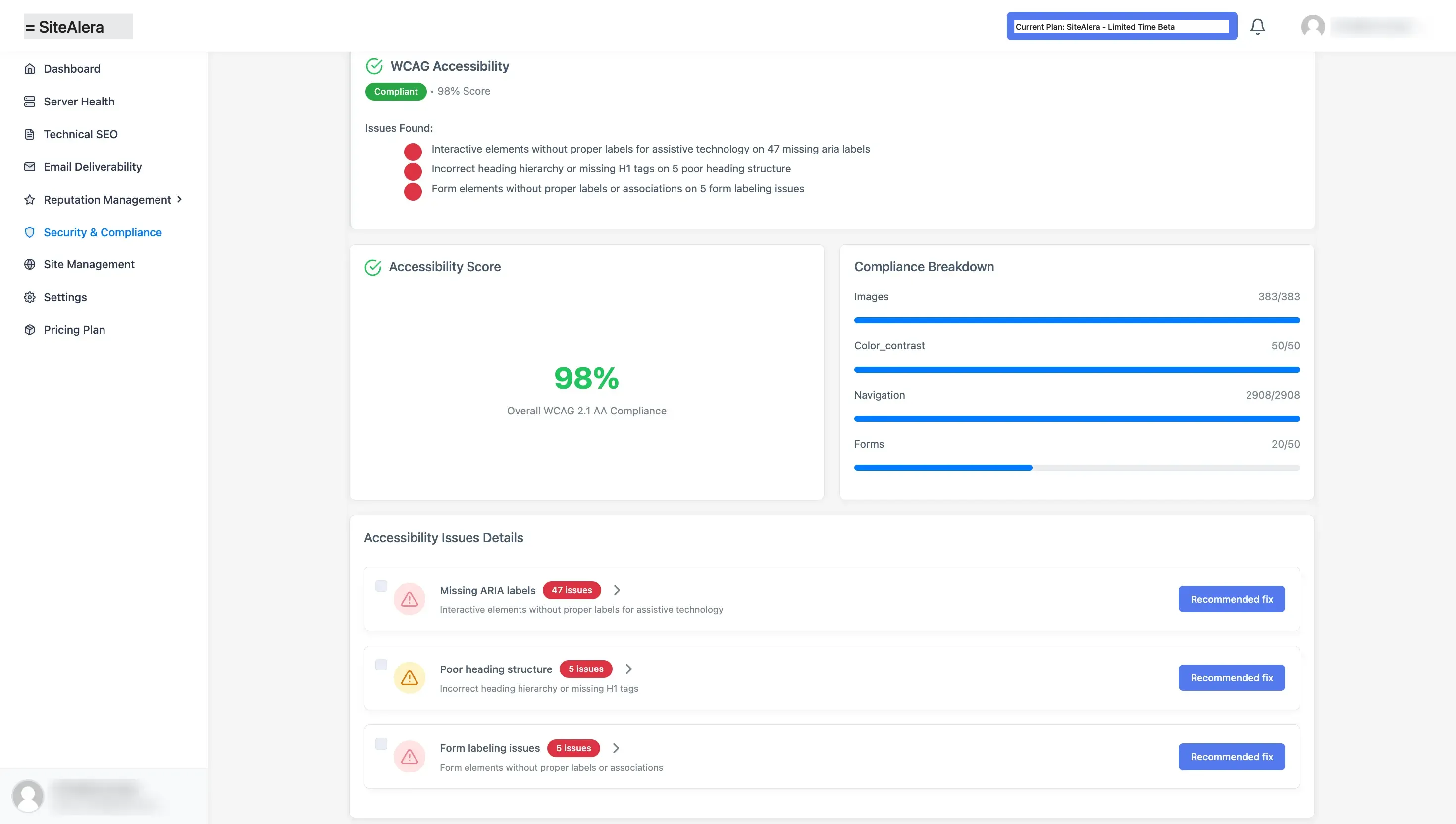 SiteAlera accessibility issue lists